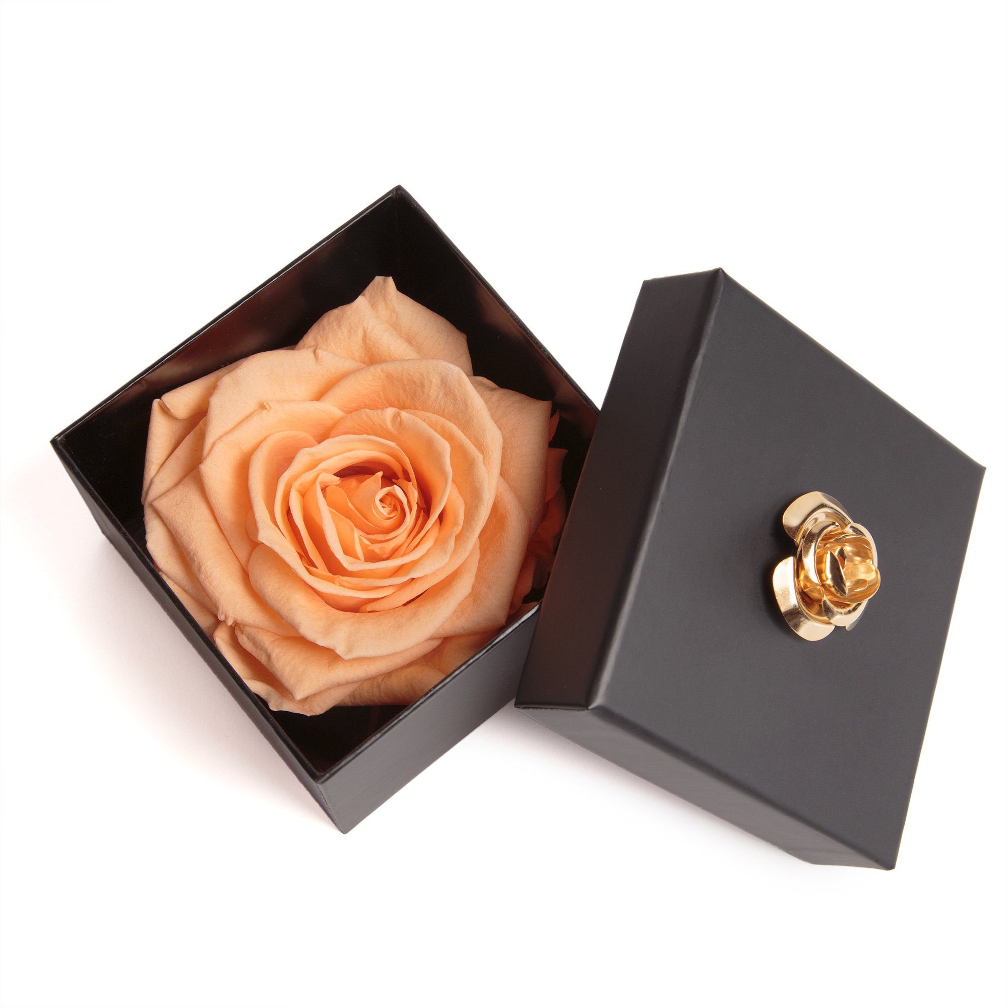 Kunstblume 1 Infinity Rose haltbar 3 Jahre Rose in Box mit Blumendeckel Rose, ROSEMARIE SCHULZ Heidelberg, Höhe 6.5 cm, Echte Rose haltbar bis zu 3 Jahre peach