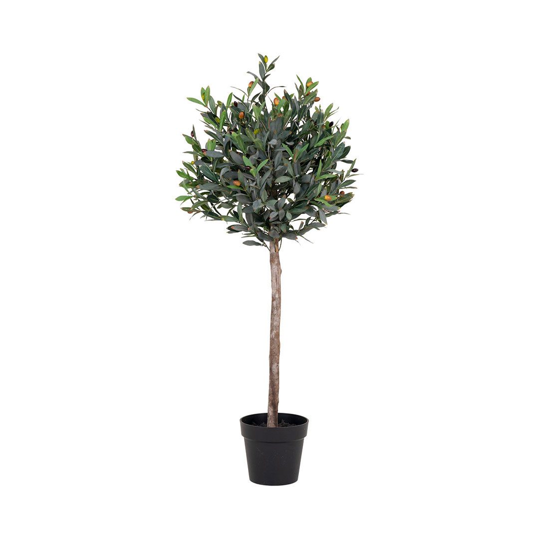 Kunstpflanze Oliventræ Künstliche Pflanze H120 cm grün., ebuy24, Höhe 120 cm