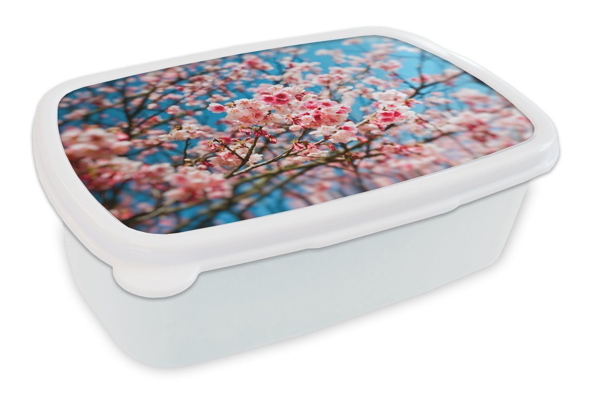 MuchoWow Lunchbox Blüte - Himmel - Baum, Kunststoff, (2-tlg), Brotbox für Kinder und Erwachsene, Brotdose, für Jungs und Mädchen weiß