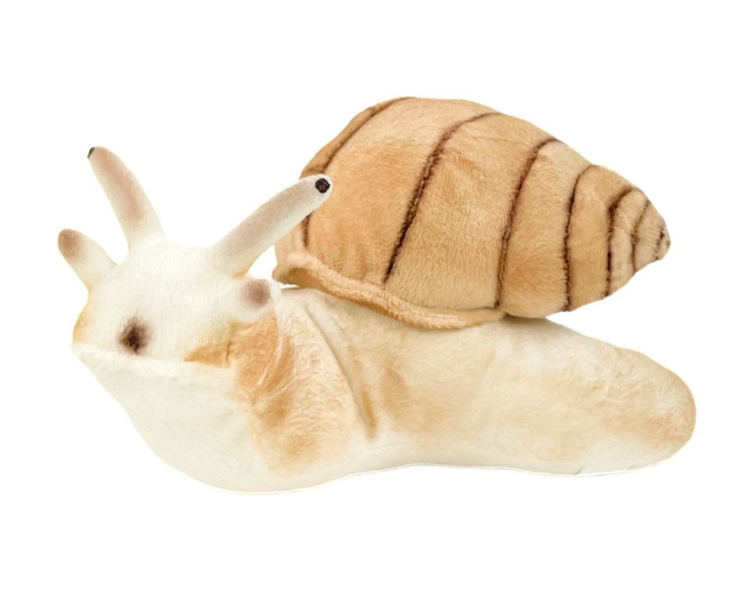 Teddys Rothenburg Kuscheltier Schnecke beige 24 cm Plüschschnecke Stofftier (Plüschtier, Stoffschnecke)