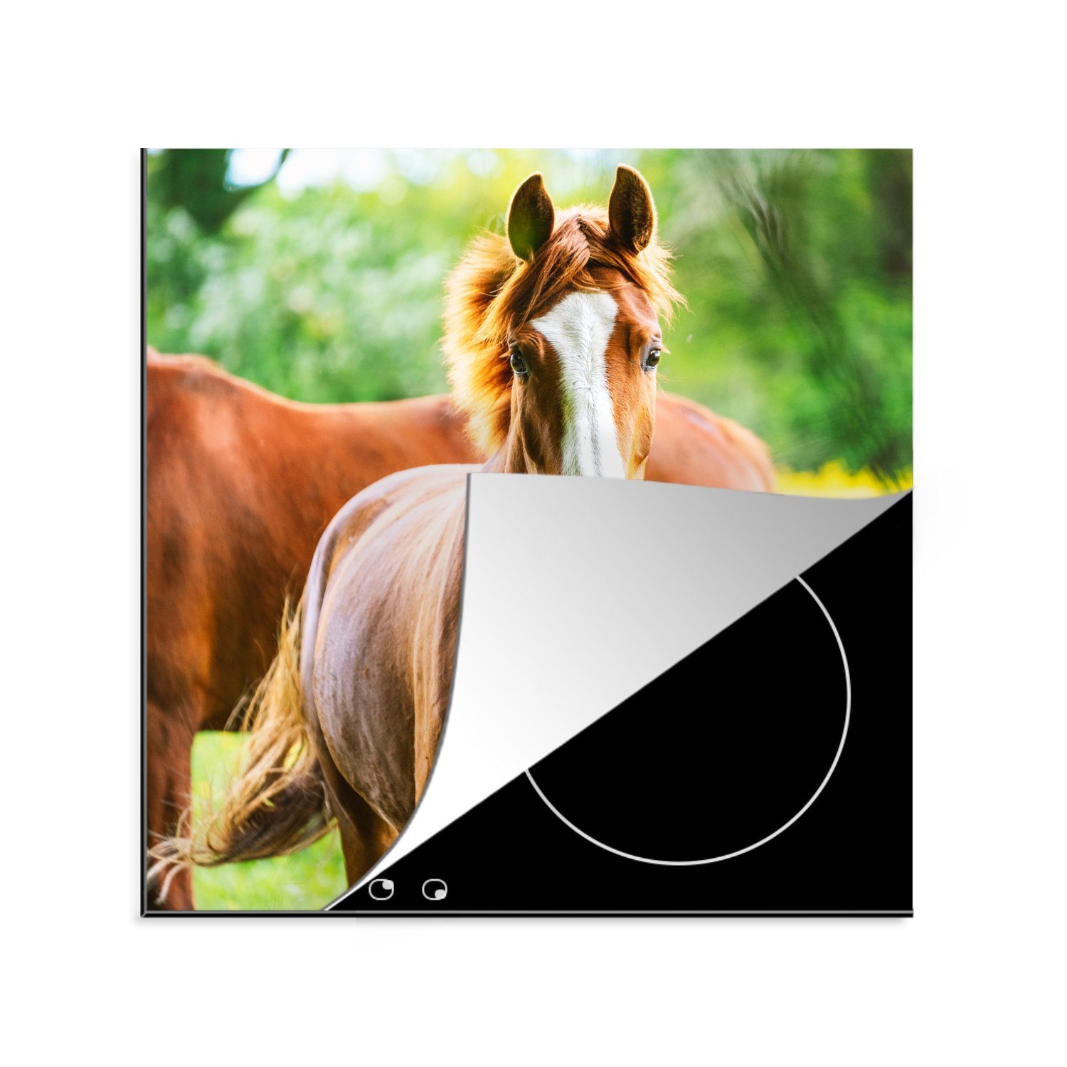 Preisreduktion MuchoWow Herdblende-/Abdeckplatte Pferde - cm, 78x78 Wiese, - Ceranfeldabdeckung, küche Vinyl, tlg), (1 für Arbeitsplatte Licht