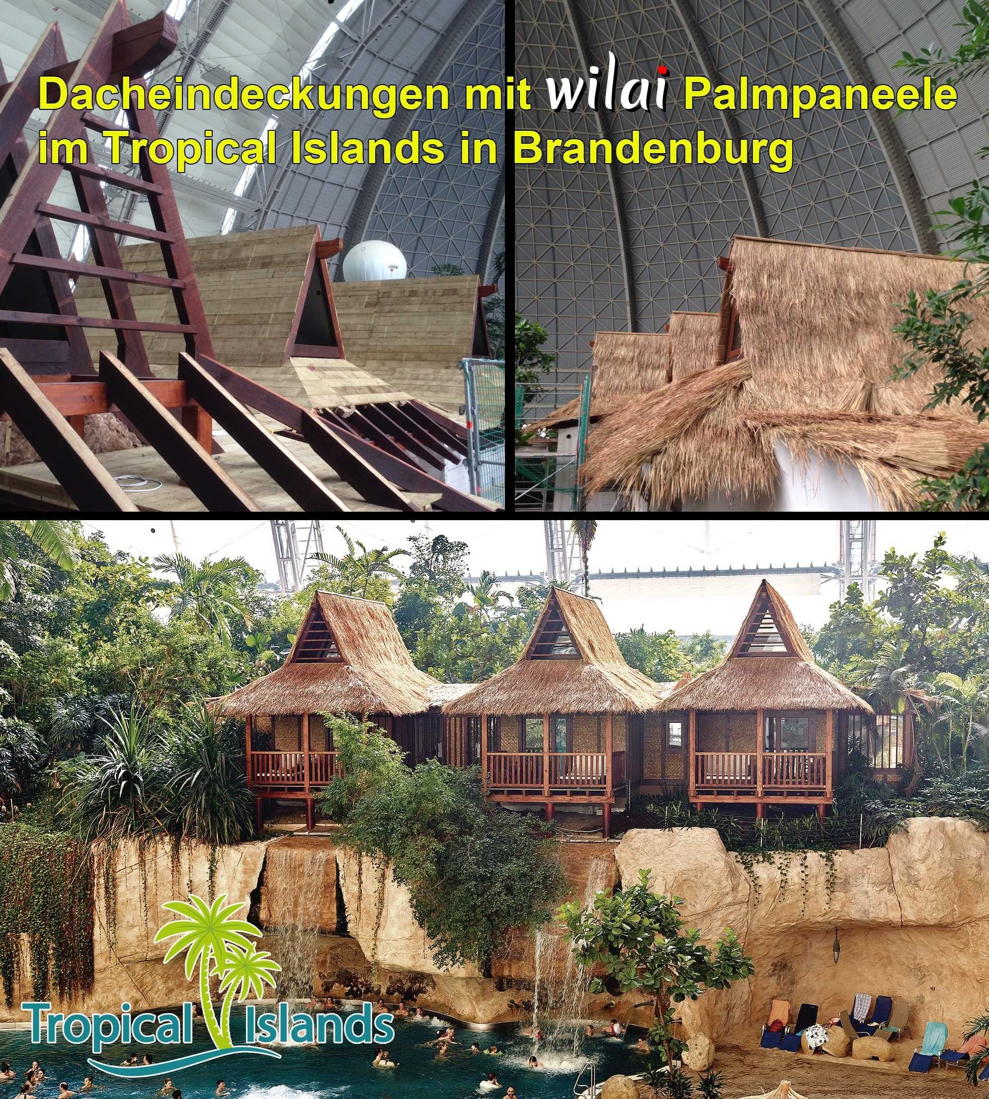 Thaiboo Dachschindeln Palmdach Palmschindel, 100% Nachhaltiges günstig online kaufen