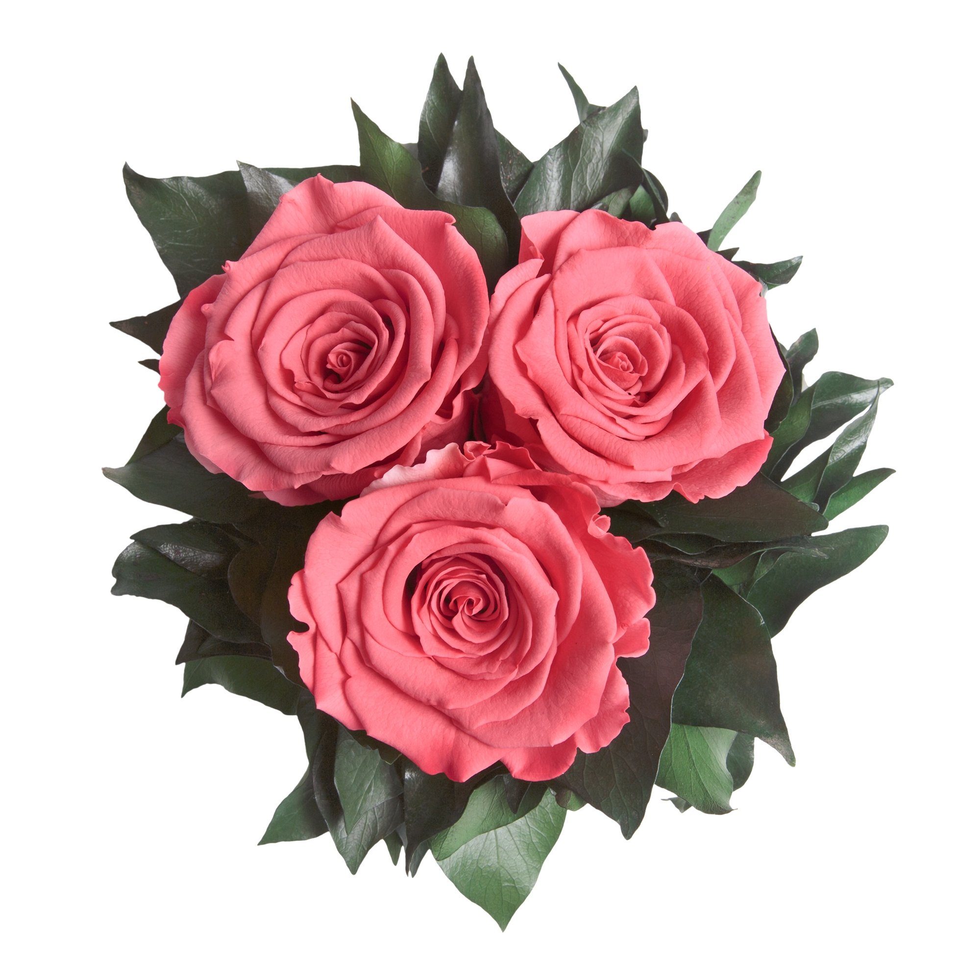Rose silberfarbene 3 Infinity Rosen bis Rose, Wohnzimmer zu Deko Korall ROSEMARIE Vase Kunstorchidee 15 Blumenstrauß cm, Höhe Jahre SCHULZ Heidelberg, 3 haltbar