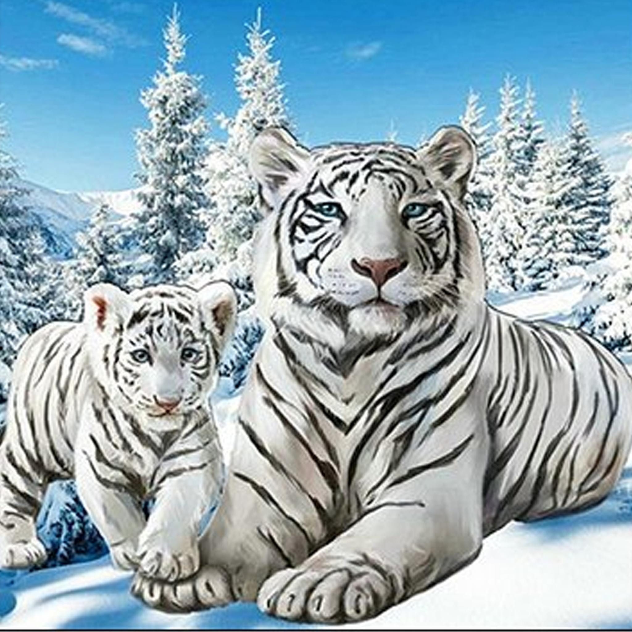 Thumbnail - LA CUTE Malen nach Zahlen 5d Diamond Painting Weißer Tiger Malen nach Zahlen 15x20cm (Komplettset für 5D Diamond Paintin...