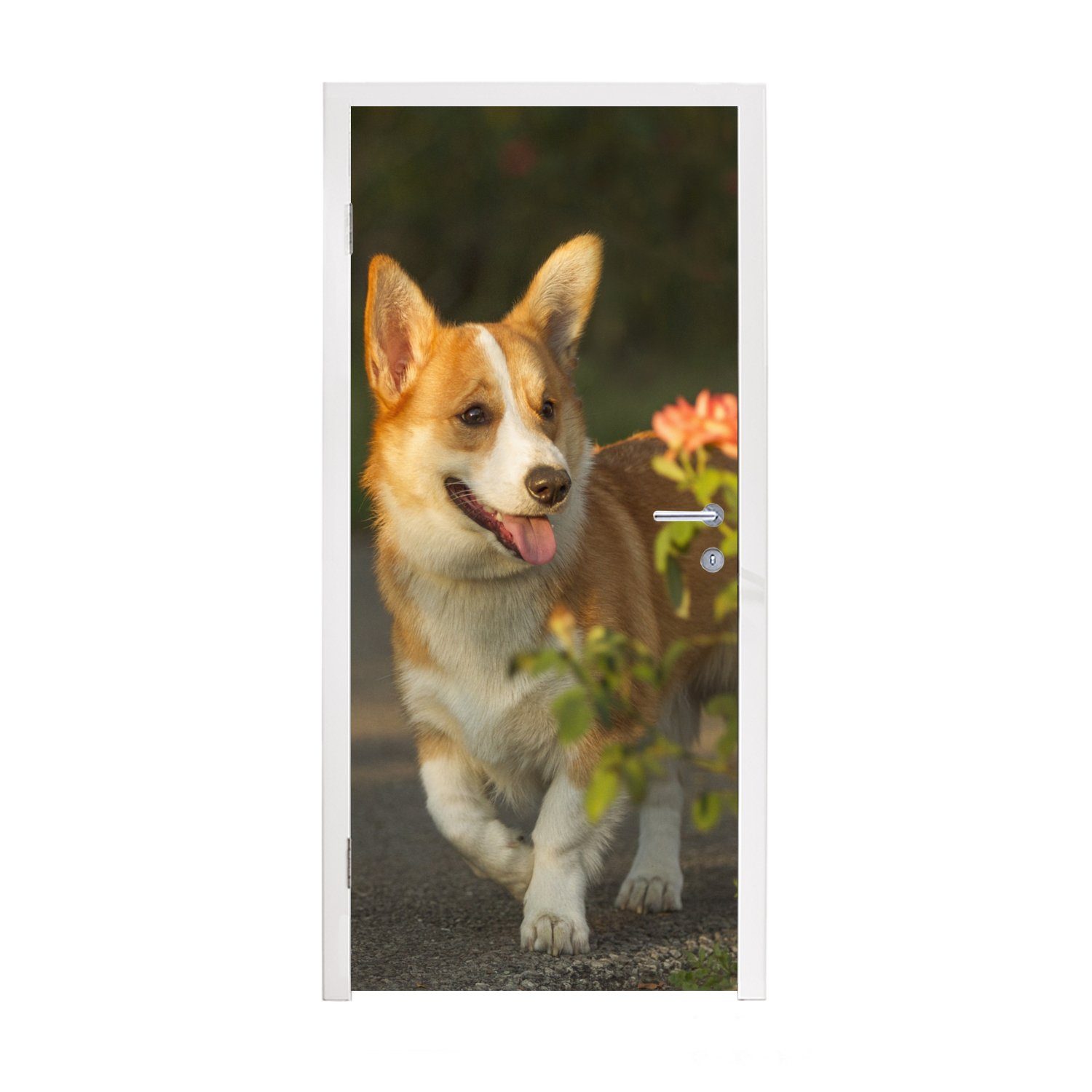 MuchoWow Türtapete Hund - Rosen - Strauch, Matt, bedruckt, (1 St), Fototapete für Tür, Türaufkleber, 75x205 cm