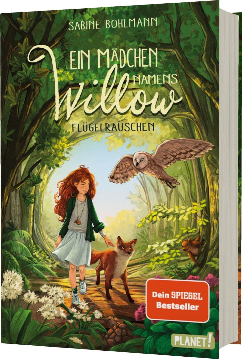Ein Mädchen namens Willow 3: Flügelrauschen / Sabine Bohlmann