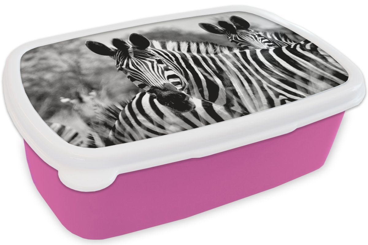Weiß Kinder, Kunststoff - Kunststoff, für Brotdose Brotbox rosa Erwachsene, MuchoWow (2-tlg), Schwarz Snackbox, Lunchbox Mädchen, Tiere, Zebra - -