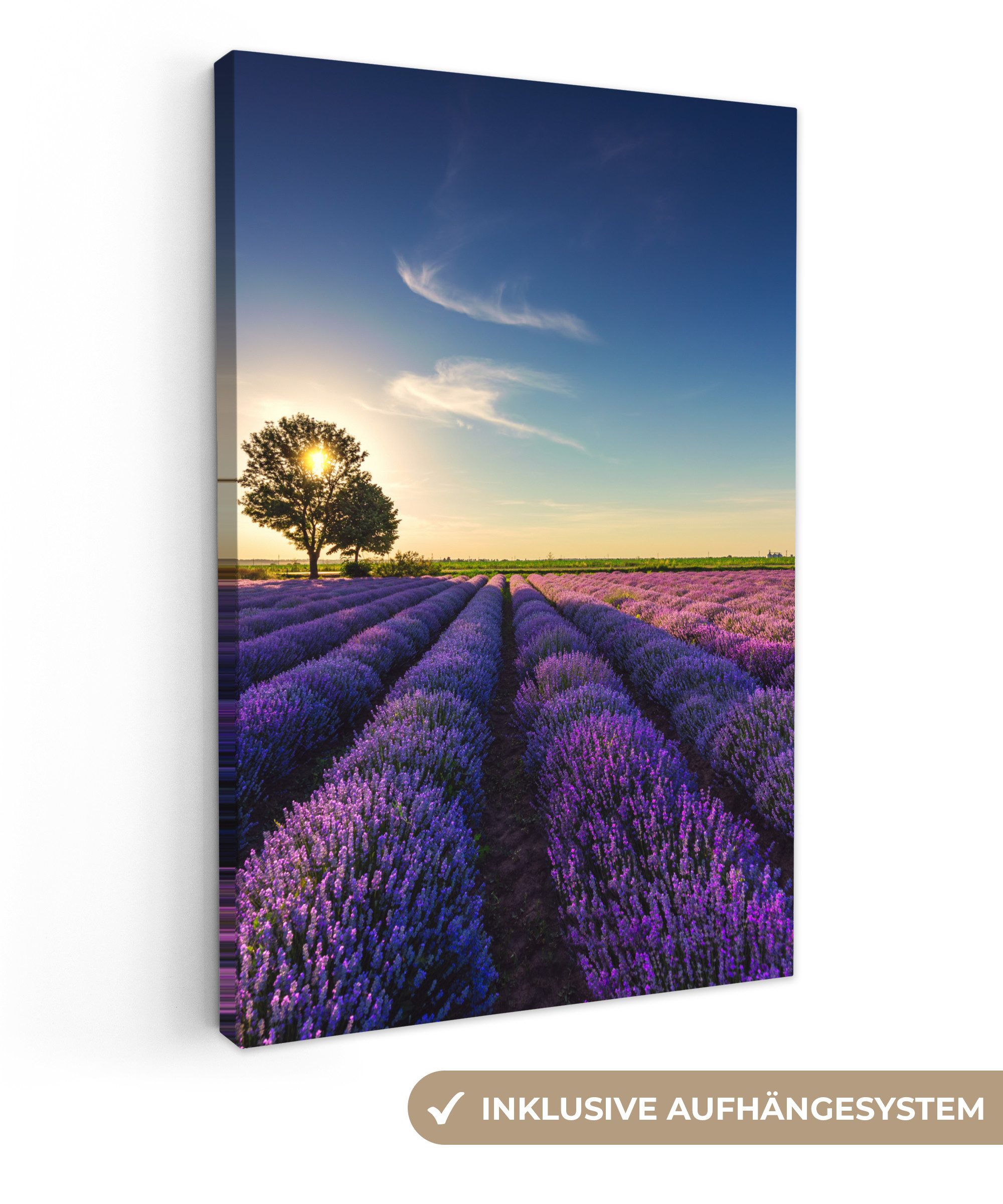 OneMillionCanvasses® Leinwandbild Lavendel - Sonne - günstig online kaufen