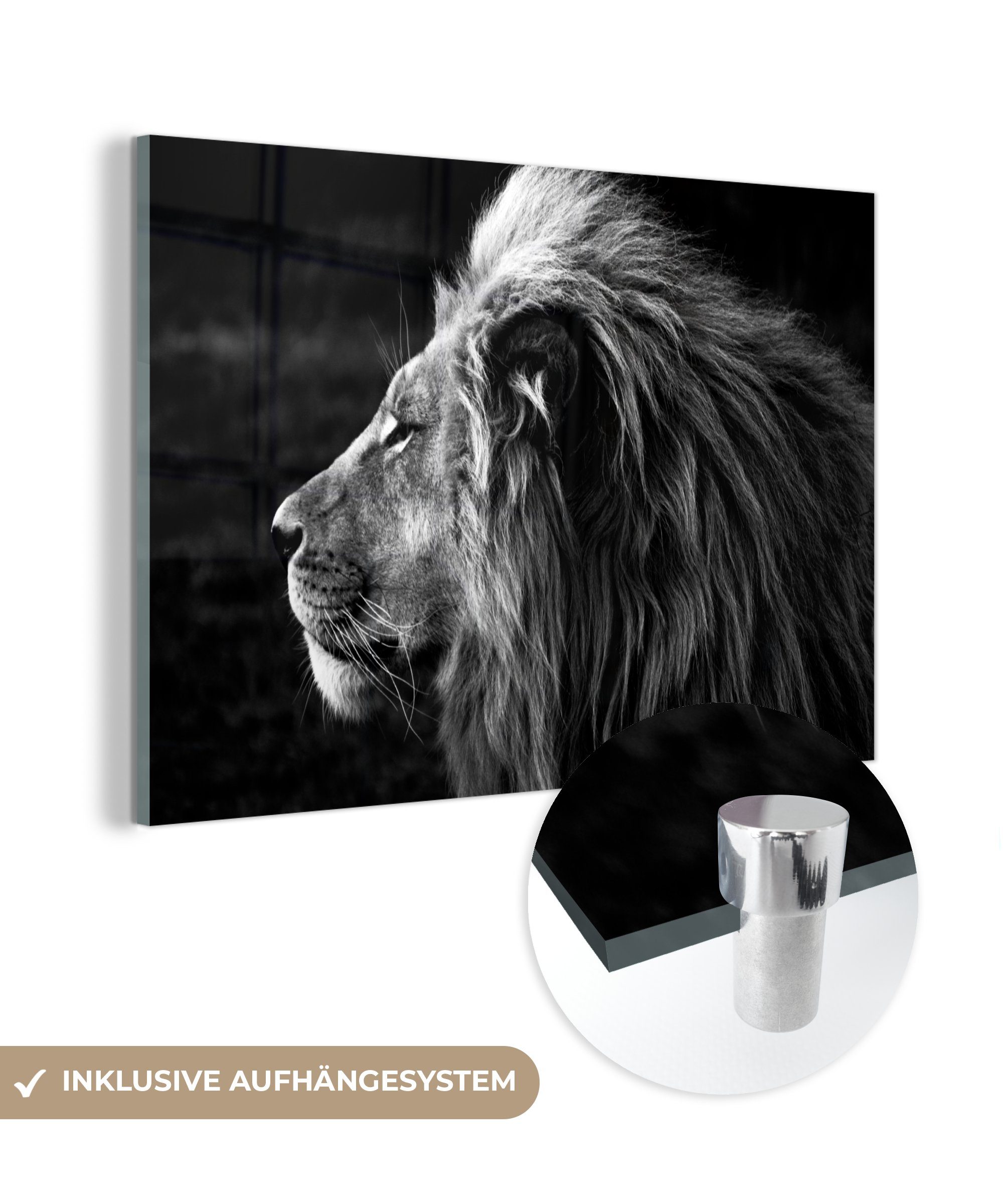 MuchoWow Acrylglasbild Tiere - Schwarz - Weiß - Profil, (1 St), Glasbilder - Bilder auf Glas Wandbild - Foto auf Glas - Wanddekoration