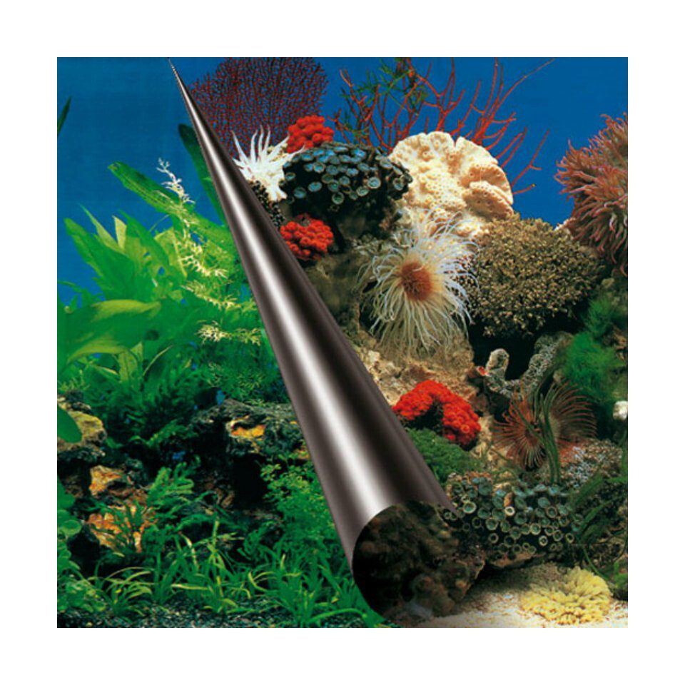 Aquarienrückwand Fotorückwand Steine und Korallen