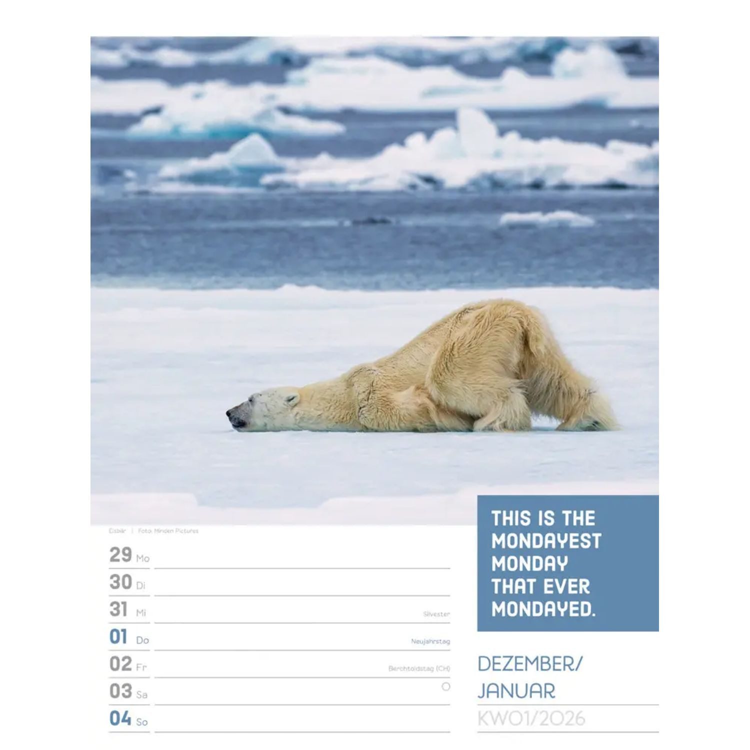 Ackermann Wandkalender Tierisch Sprüchekalender Wochenplaner 2026