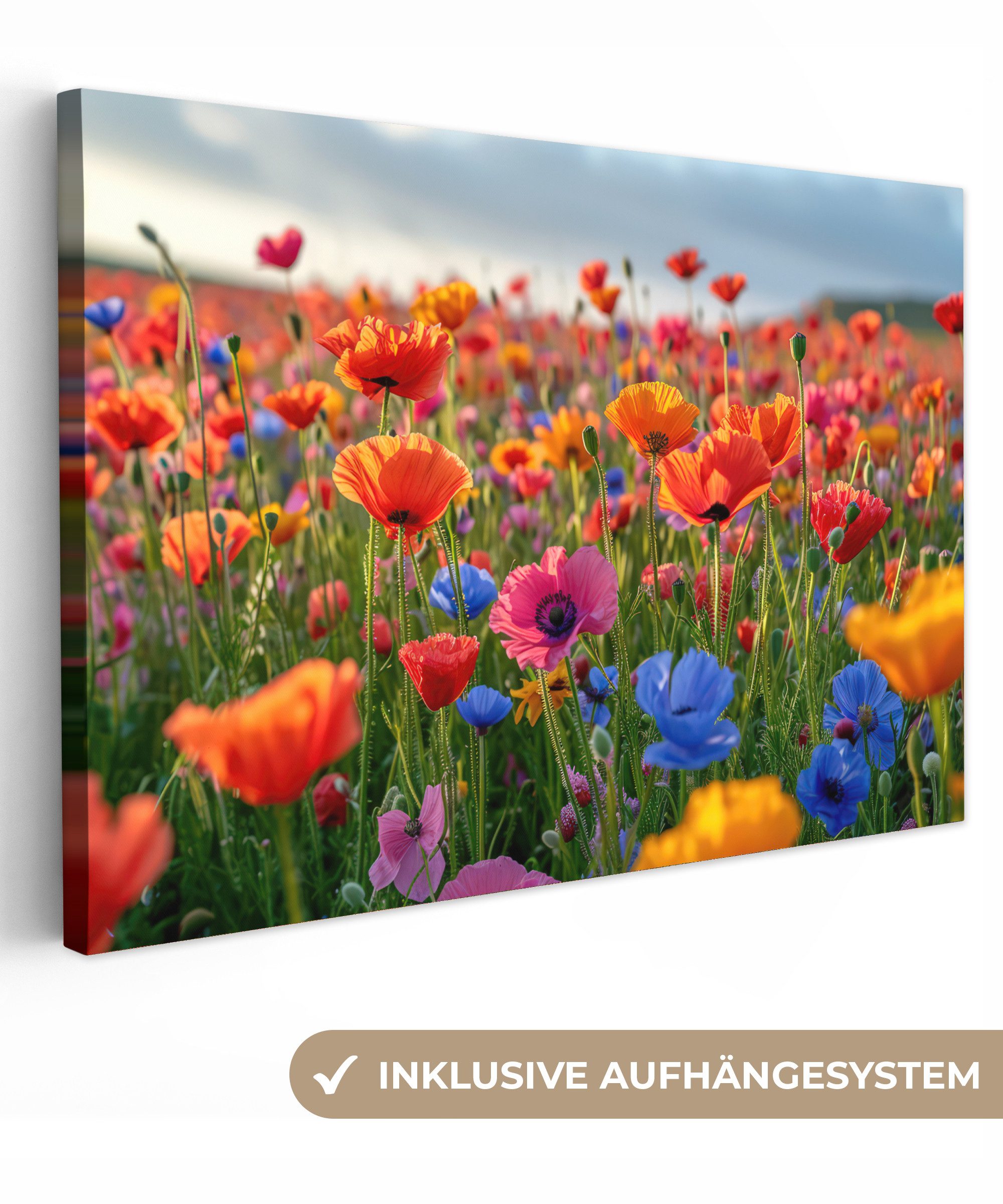 OneMillionCanvasses® Leinwandbild Blumen - Mohnblumen - Farbenfroh - Natur, Fotodruck (1 St), Leinwand Bilder Klein, Wand Dekoration Aesthetic 30x20 cm