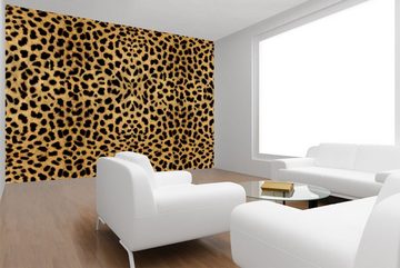 WandbilderXXL Fototapete Gepard, glatt, Tiermuster, Vliestapete, hochwertiger Digitaldruck, in verschiedenen Größen