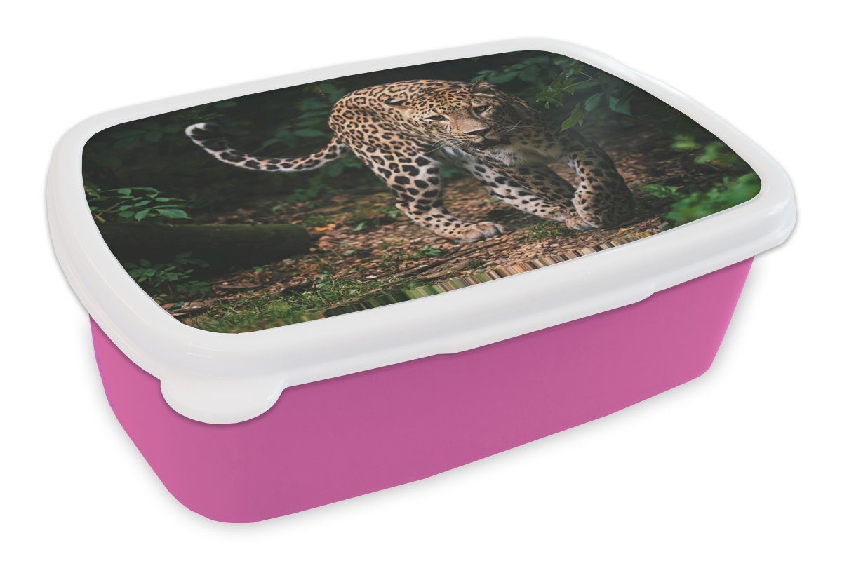 Kunststoff, MuchoWow - Kunststoff Dschungel Brotdose - Natur, (2-tlg), Leopard Snackbox, Lunchbox rosa Mädchen, Kinder, Erwachsene, - für Brotbox Wildtiere