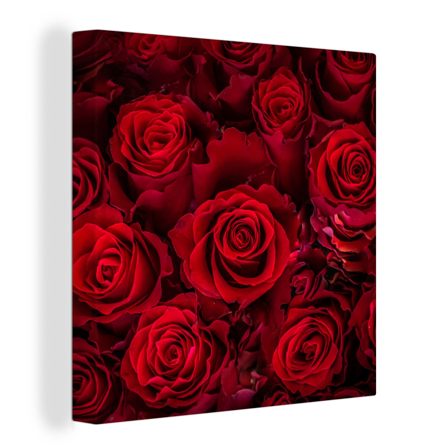OneMillionCanvasses® Leinwandbild Blumen - Rosen - Rot, Fotodruck (1 St), Wandbild, Deko Schlafzimmer Wohnzimmer Flur 20x20 cm