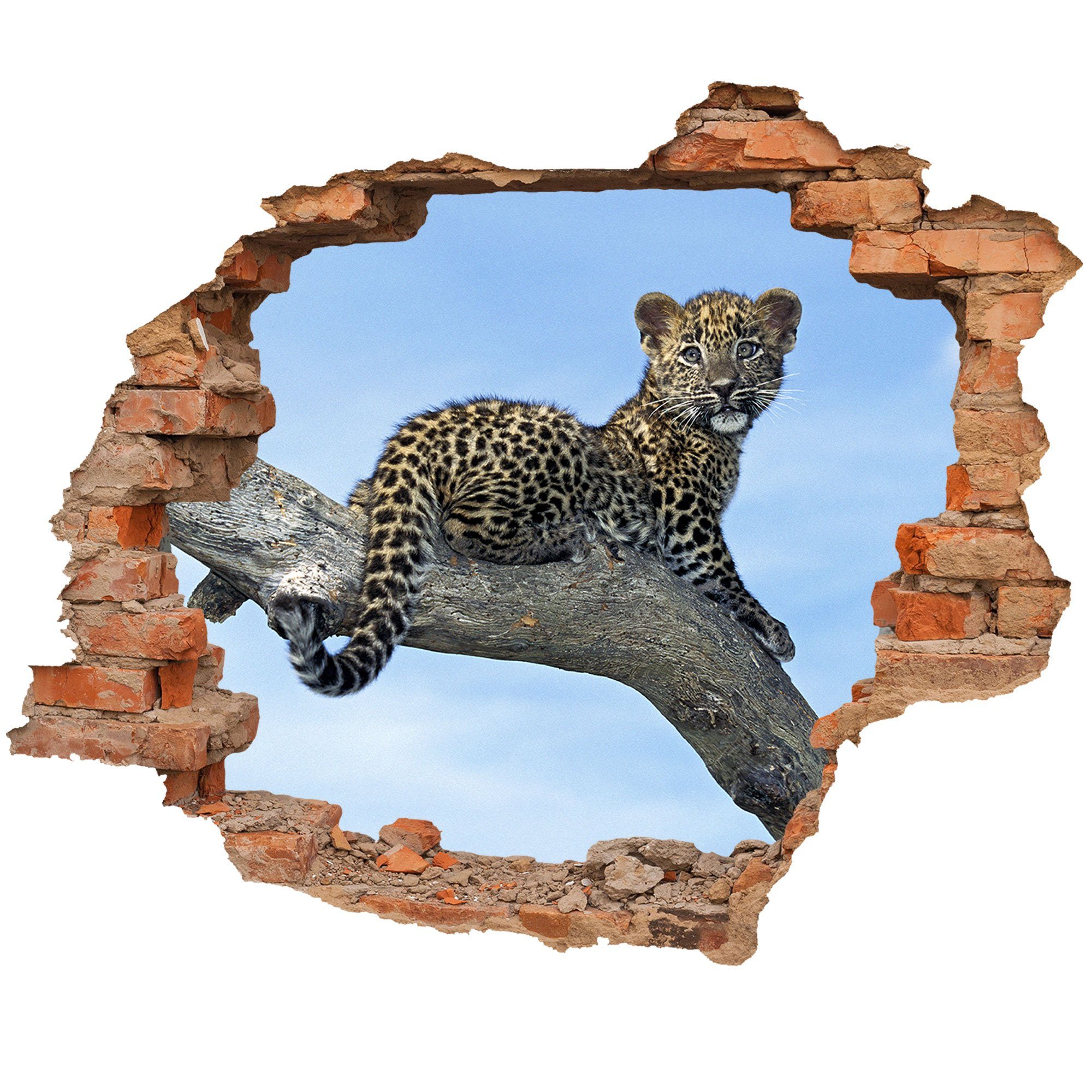 WallSpirit Wandtattoo Wanddurchbruch "Leopardenbaby", Selbstklebend, rückstandslos abziehbar