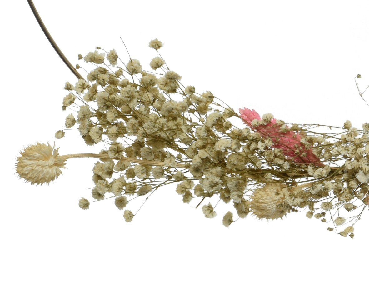 Decoris season decorations Dekohänger, Metallringe mit Trockenblumen 34cm & 24cm natur weiß / gold 2er Set