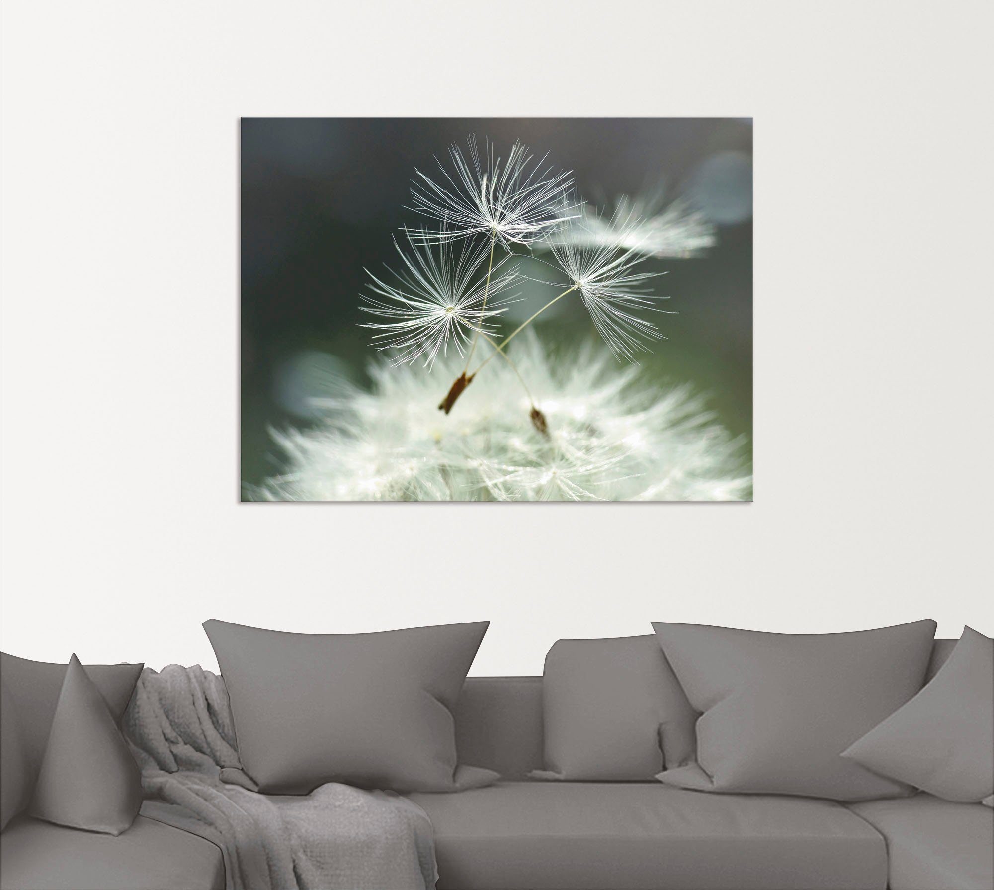 Artland Wandbild Pusteblume Facility, Blumen (1 günstig online kaufen