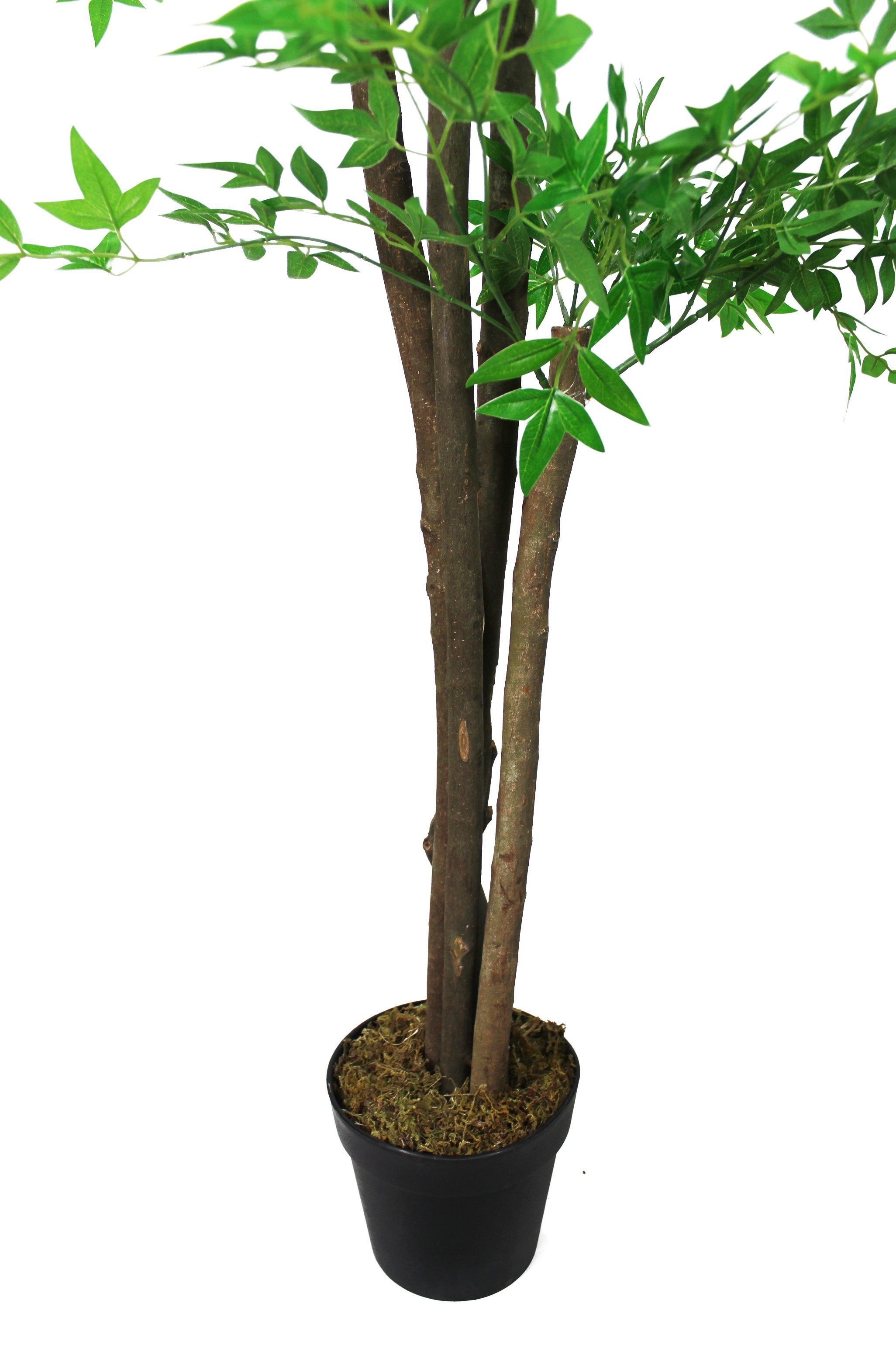 Kunstpflanze Blätter 4 Höhe Pflanze 190 mit Kunstbaum Arnusa, Himmelsbambus, 1530 cm, künstliche Echtholzstämmen Himmelsbambus