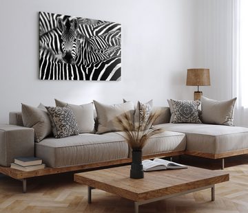 Sinus Art Leinwandbild 120x80cm Wandbild auf Leinwand Afrika Tierfotografie Schwarz Weiß Zebr, (1 St)