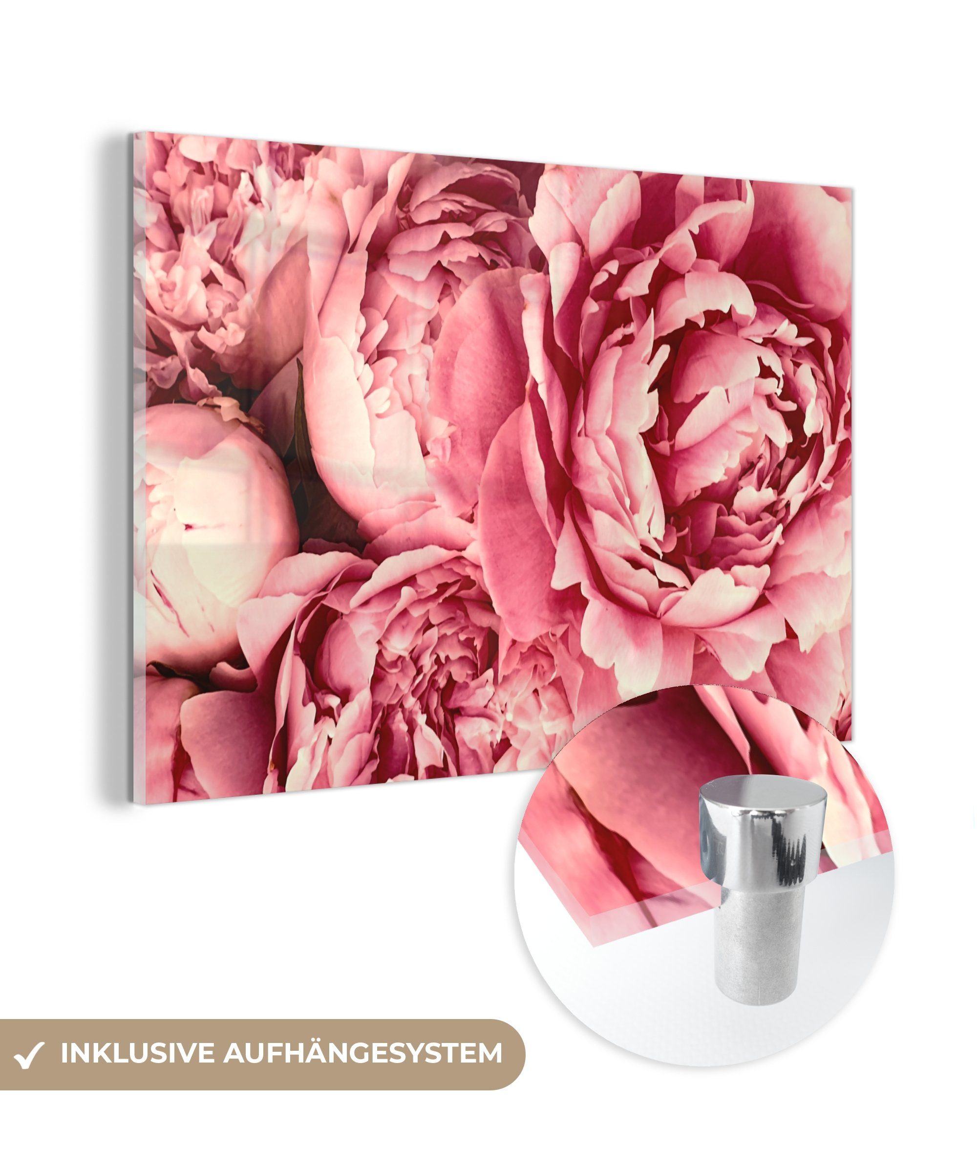 MuchoWow Acrylglasbild Rosen - Blume - Rosa, (1 St), Acrylglasbilder Wohnzimmer & Schlafzimmer