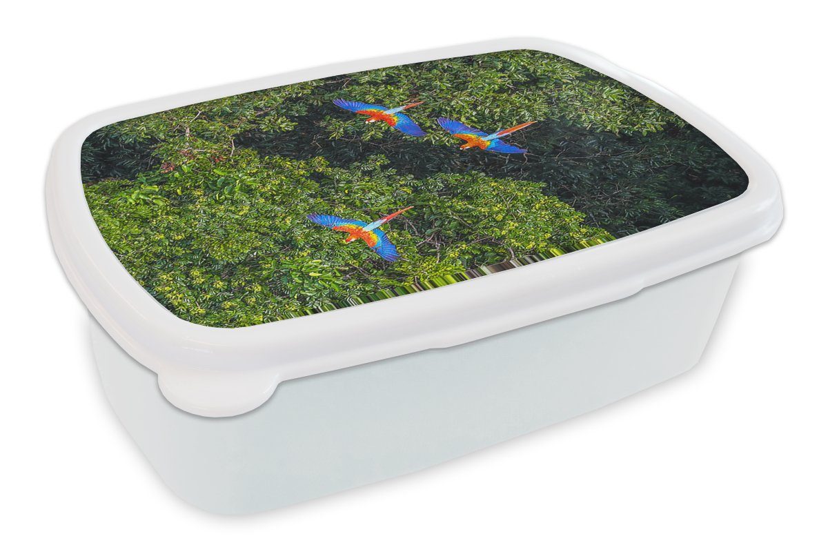 MuchoWow Lunchbox Dschungel - Baum - Papagei - Jungen - Mädchen - Kinder, Kunststoff, (2-tlg), Brotbox für Kinder und Erwachsene, Brotdose, für Jungs und Mädchen weiß