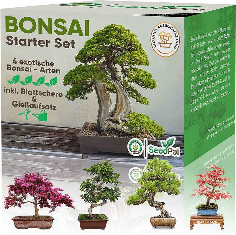 Kunstbonsai Easy Bonsai Starter Kit - Bonsai Anzuchtset 4 versch. Bonsai Samen Bonsaisamen, SeedPal, In Zusammenarbeit mit der niederbayrischen Lebenshilfe