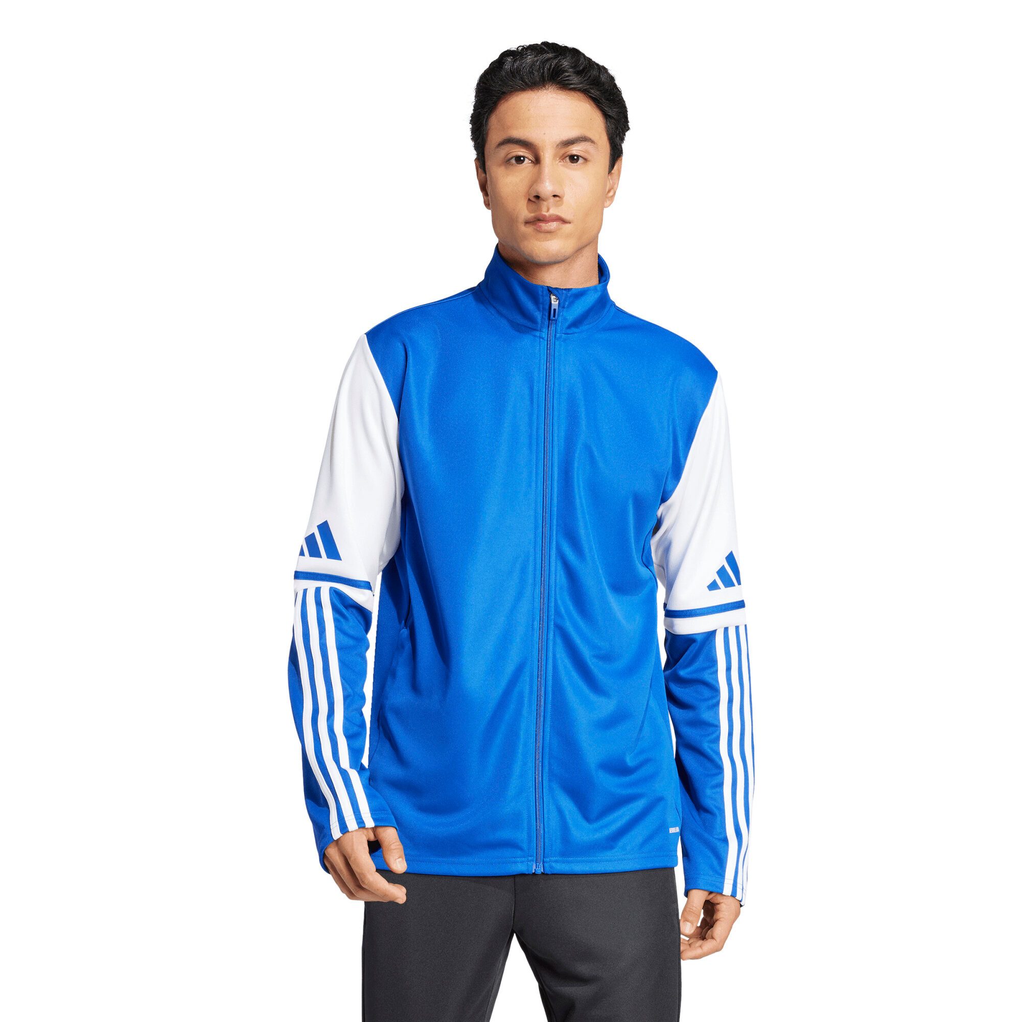 adidas Performance Trainingsanzug adidas Herren Trainingsanzug Squadra 25 günstig online kaufen