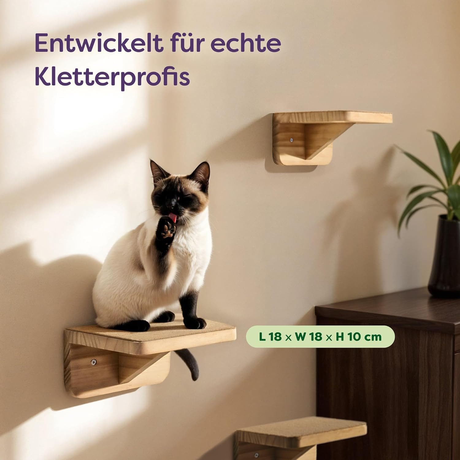 Knupis Kratzbaum Katzen Spiel Kletterwand 3er Set – FSC® Kiefernholz - Katzentreppe, Rutschfestes Vlies - Einfache Montage - Hohe Belastbarkeit bis 30kg