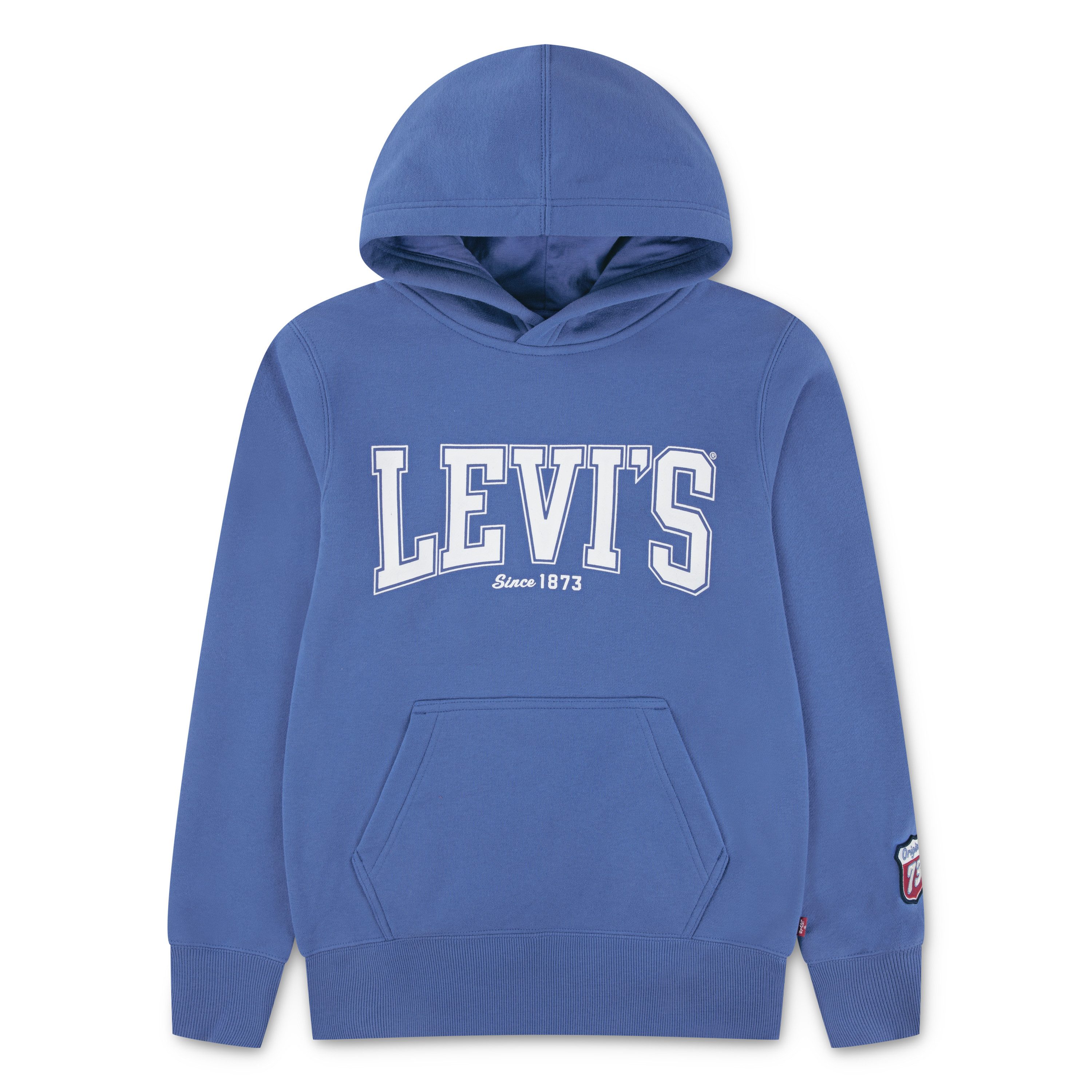 Levi's® Kids Kapuzensweatshirt LVB THE GREAT HIGHWAY HOOD mit kleinem Ärmelbadge