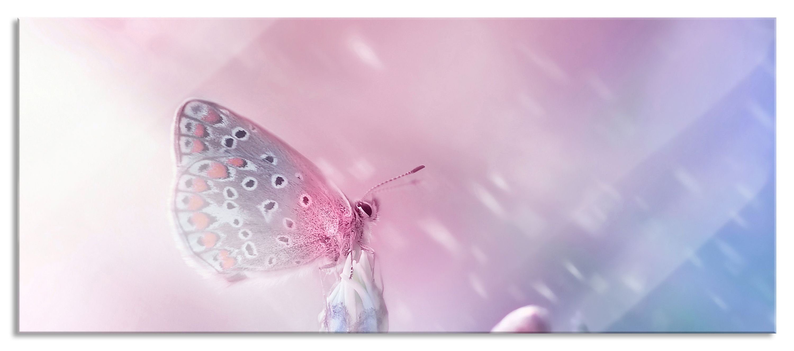 Pixxprint Glasbild Schmetterling auf Blütenknospen, Schmetterling auf Blütenknospen (1 St), Glasbild aus Echtglas, inkl. Aufhängungen und Abstandshalter