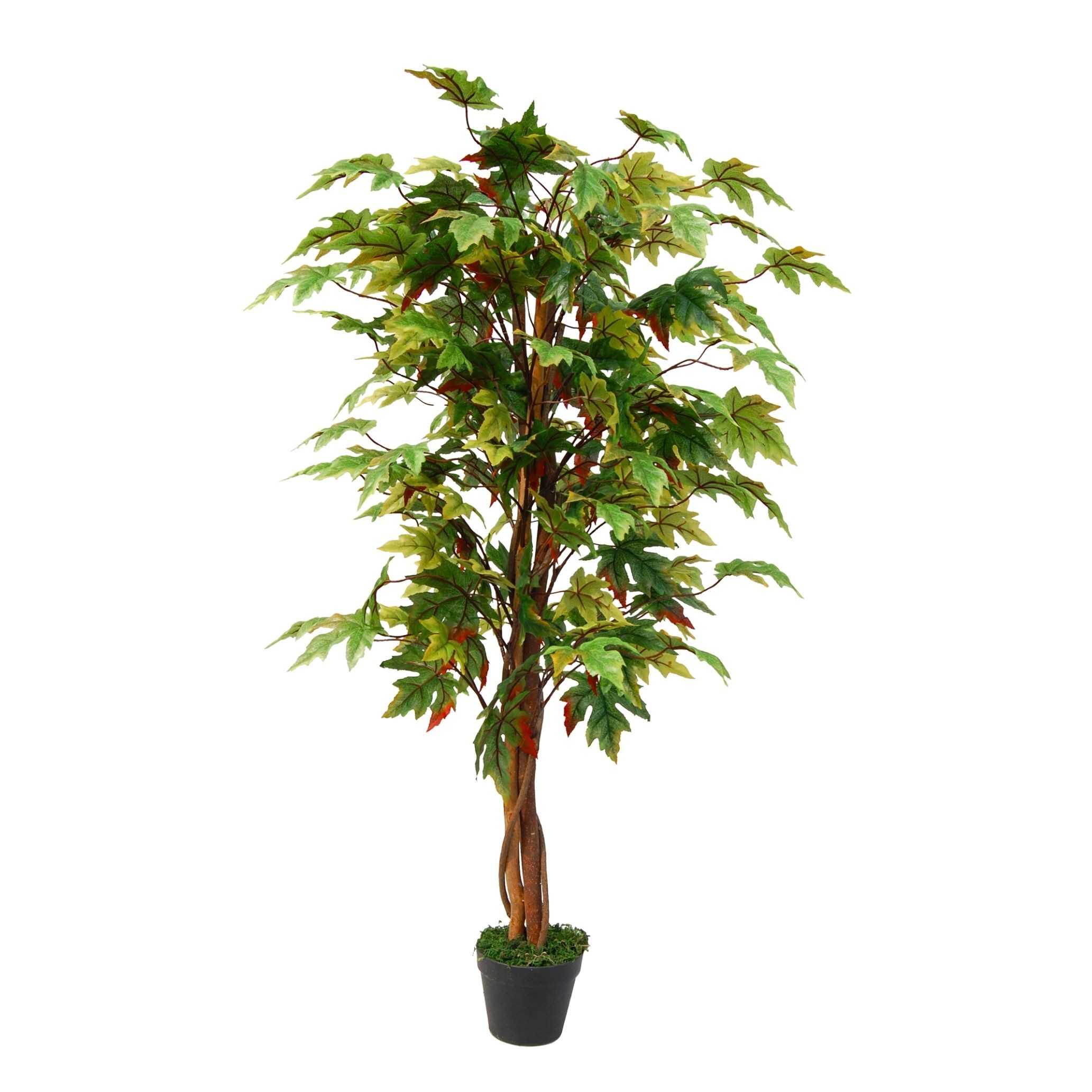 Kunstbaum SMARAGDLINE künstliche Bäume in verschiedenen günstig online kaufen
