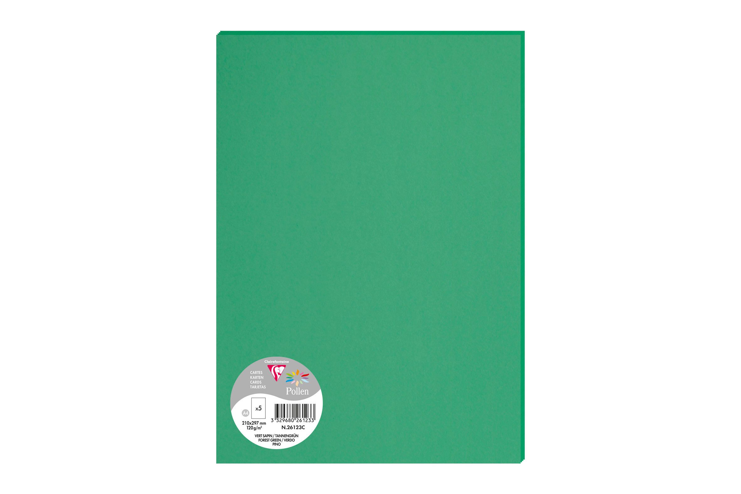 CLAIREFONTAINE Briefpapier Clairefontaine 5 Bogen Pollen A4 tannengrün 120g