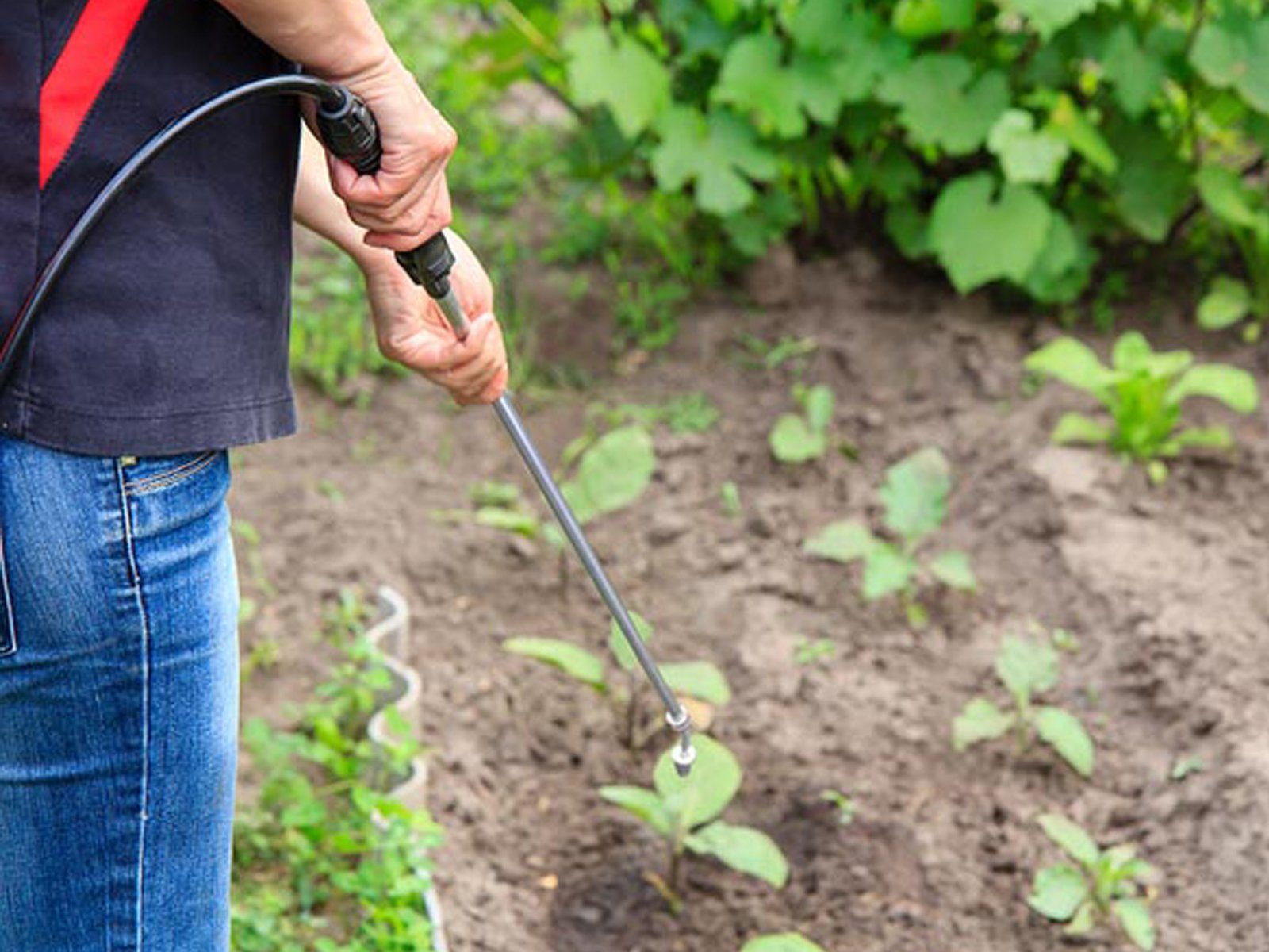 Toolland Akku-Drucksprühgerät, Rückenspritze & 2 Akkus Drucksprüher Garten-Spritze Pflanzen-Sprüher