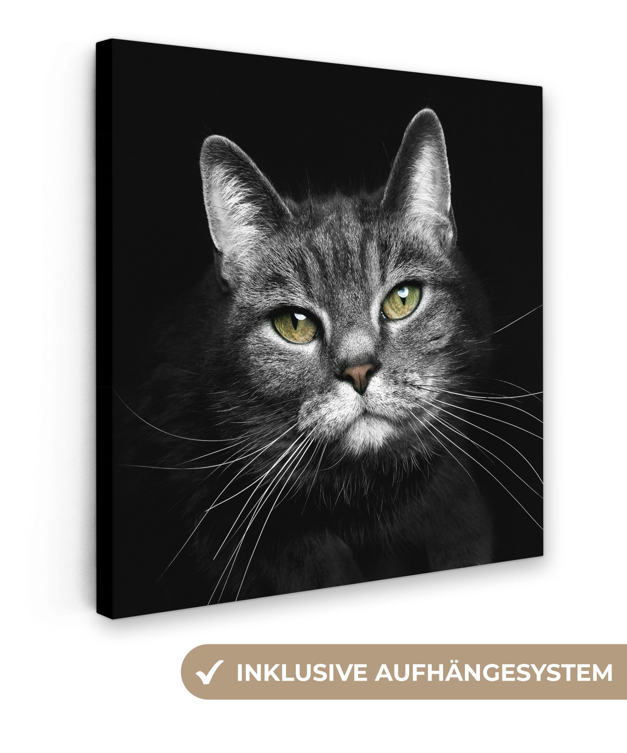 OneMillionCanvasses® Leinwandbild Haustiere - Katze - günstig online kaufen