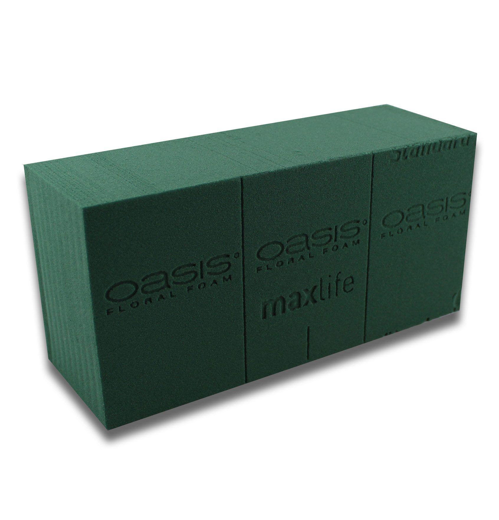 Oasis Bastelnaturmaterial OASIS® Steckmoos maxlife Standard - Frischblumen, 20 Stück