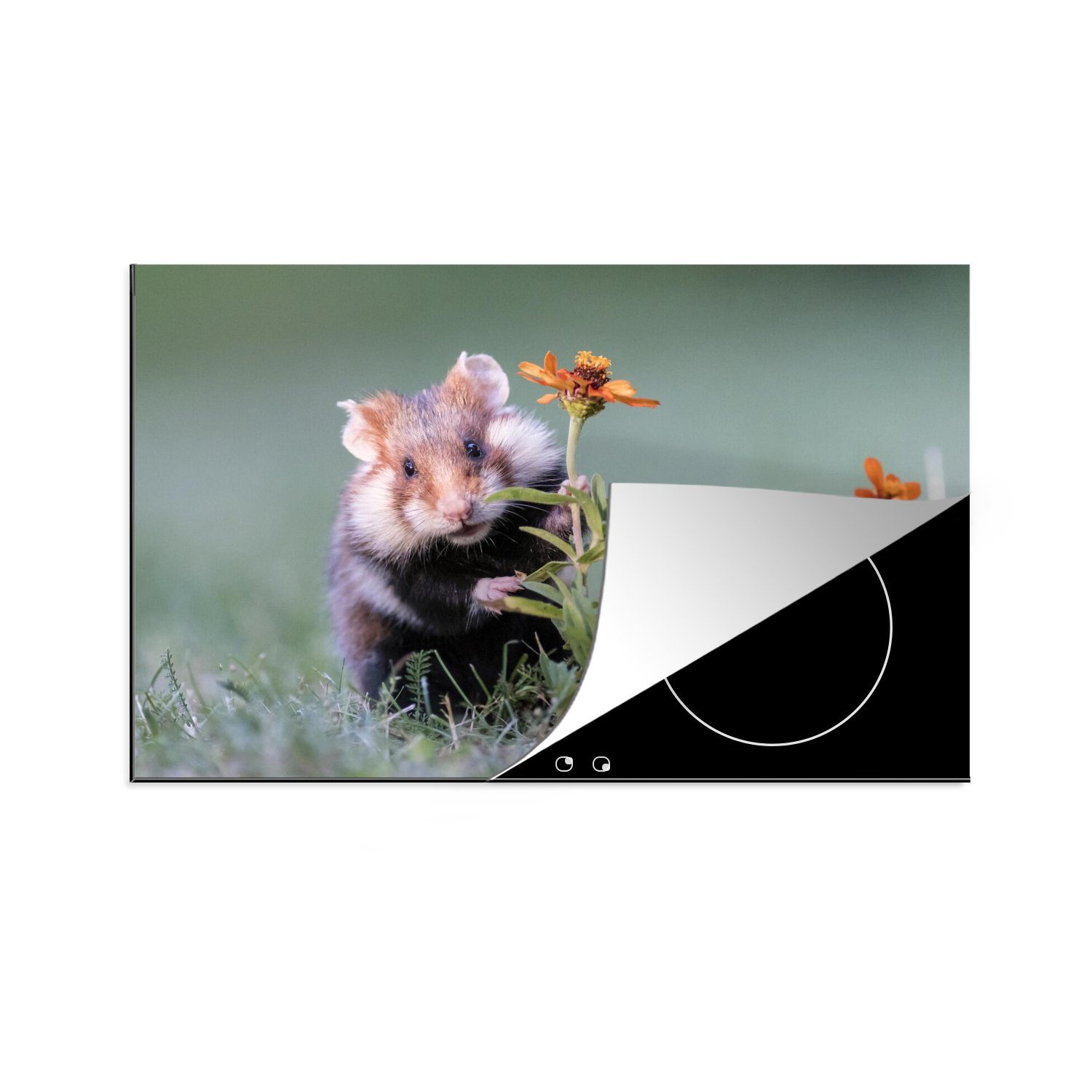 MuchoWow Herdblende-/Abdeckplatte Hamster versteckt sich hinter einer Blume, Vinyl, (1 tlg), 81x52 cm, Induktionskochfeld Schutz für die küche, Ceranfeldabdeckung