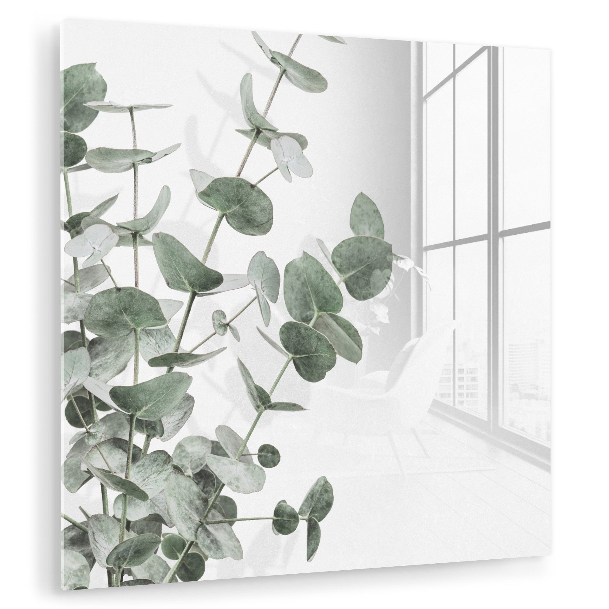 MuchoWow Acrylglasbild Eukalyptus - Blätter - günstig online kaufen