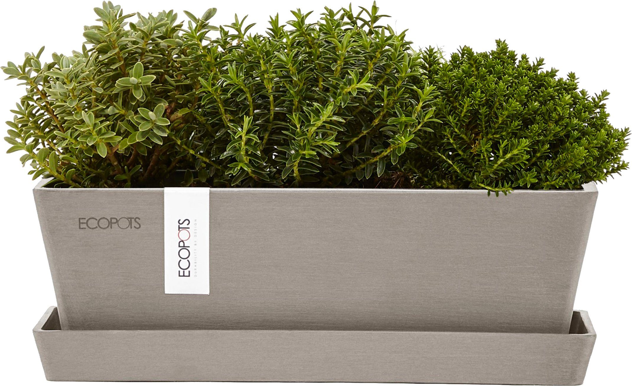 ECOPOTS Balkonkasten Bruges Mini 25 Taupe, günstig online kaufen