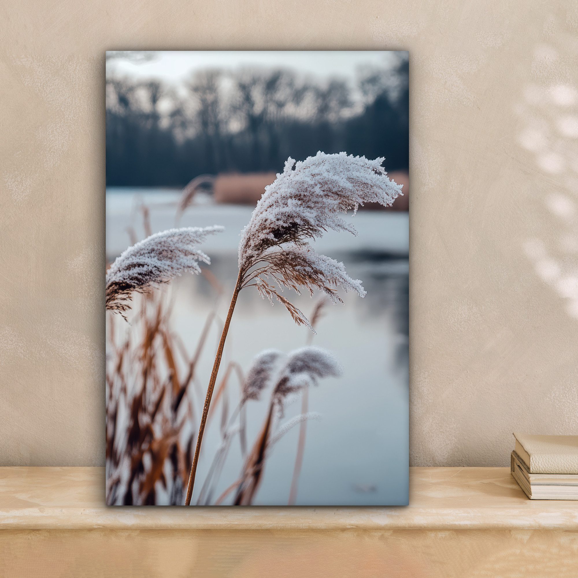 OneMillionCanvasses® Leinwandbild Schilf - Gras - Natur - Winter - See, Fot günstig online kaufen