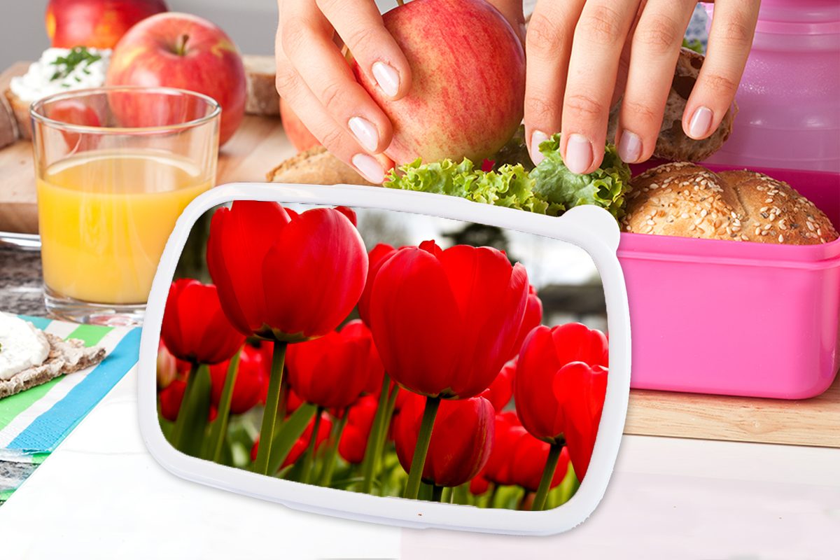 MuchoWow (2-tlg), rosa für Snackbox, Brotdose Erwachsene, Kunststoff, Nahaufnahme von Tulpen, Mädchen, Lunchbox Kinder, Brotbox Kunststoff roten