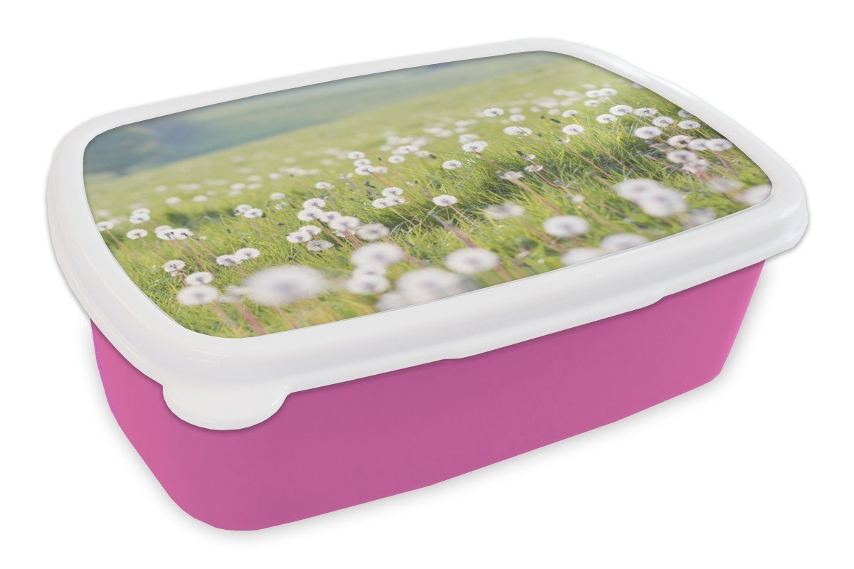 MuchoWow Lunchbox Frühling - Löwenzahn - Farben, Kunststoff, (2-tlg), Brotbox für Erwachsene, Brotdose Kinder, Snackbox, Mädchen, Kunststoff rosa