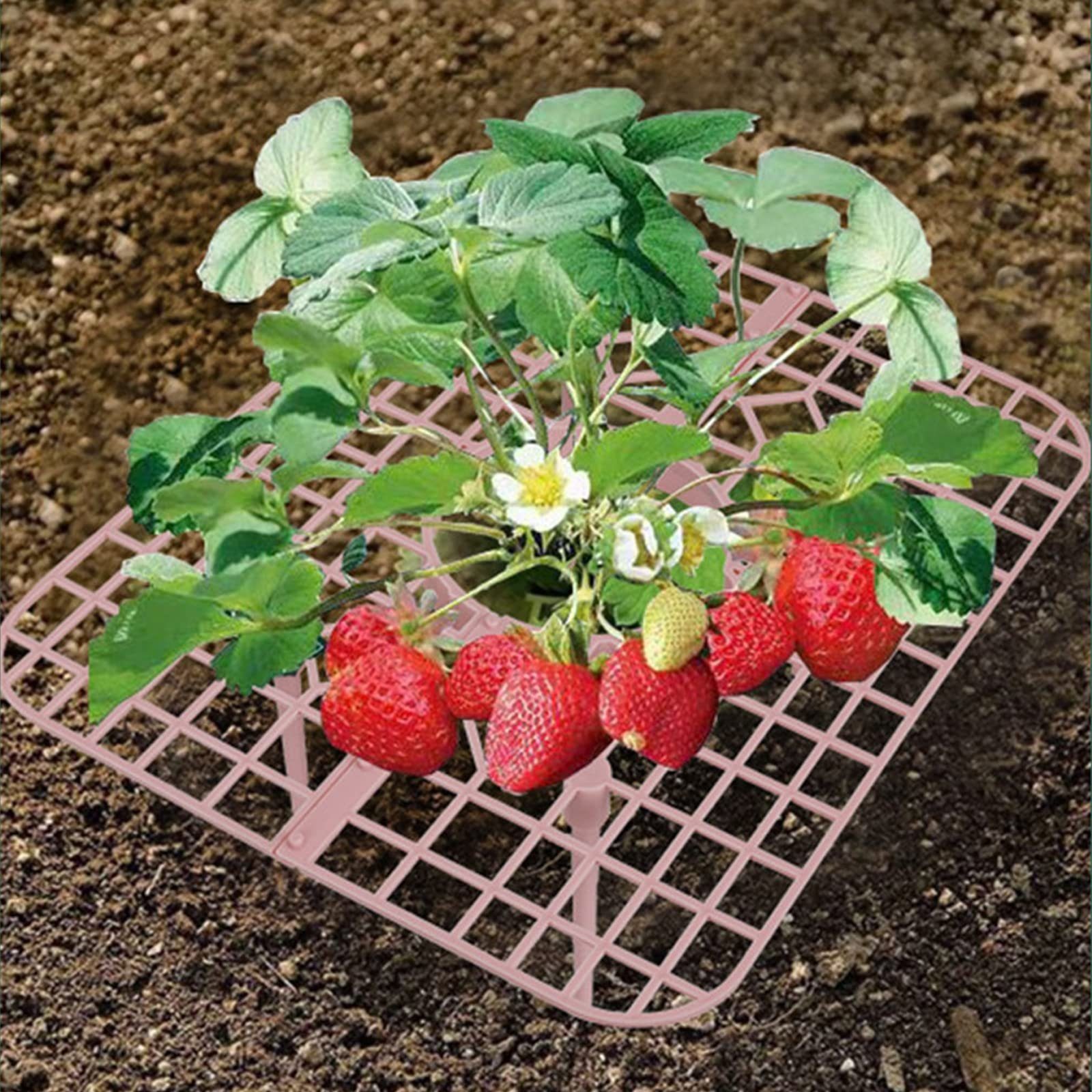 20 Erdbeerständer SEEZSSA Gartenständer,Gemüserega, Dreidimensionaler Erdbeer-Pflanzenstützung x 9 Beinen,25 cm Blumenständer 4 mit 10 für Stück x Rosa