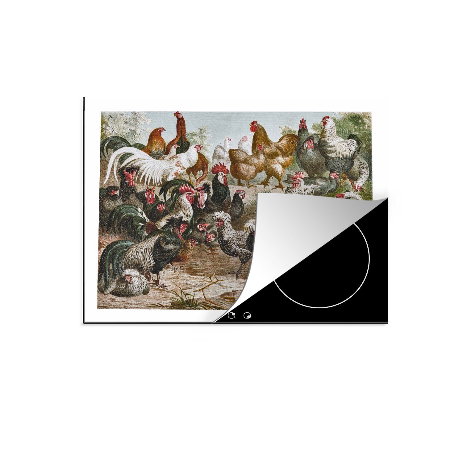 MuchoWow Herdblende-/Abdeckplatte Illustration von Hähnen und Hennen in einem Auslauf, Vinyl, (1 tlg), 59x52 cm, Ceranfeldabdeckung für die küche, Induktionsmatte | Herdabdeckplatten