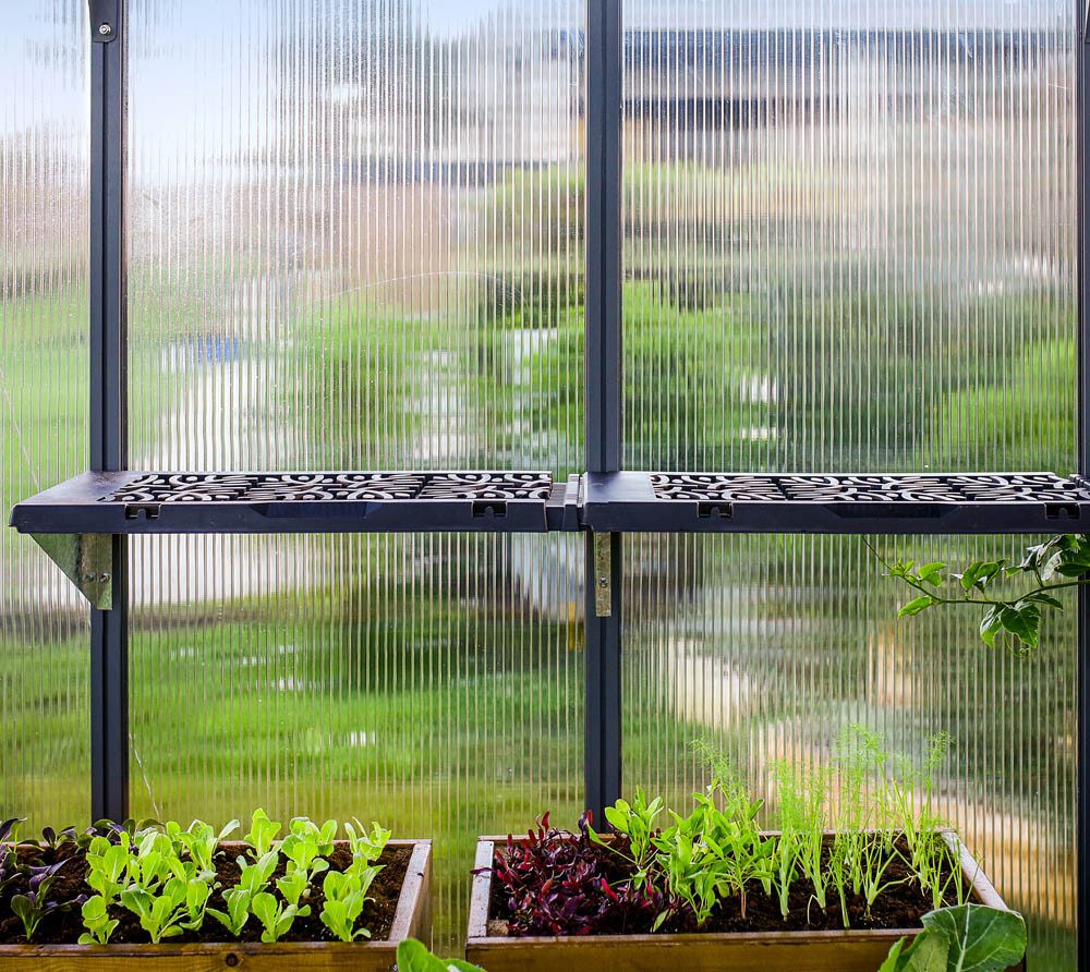 Palram - Canopia Gewächshaus, x 17  | R...