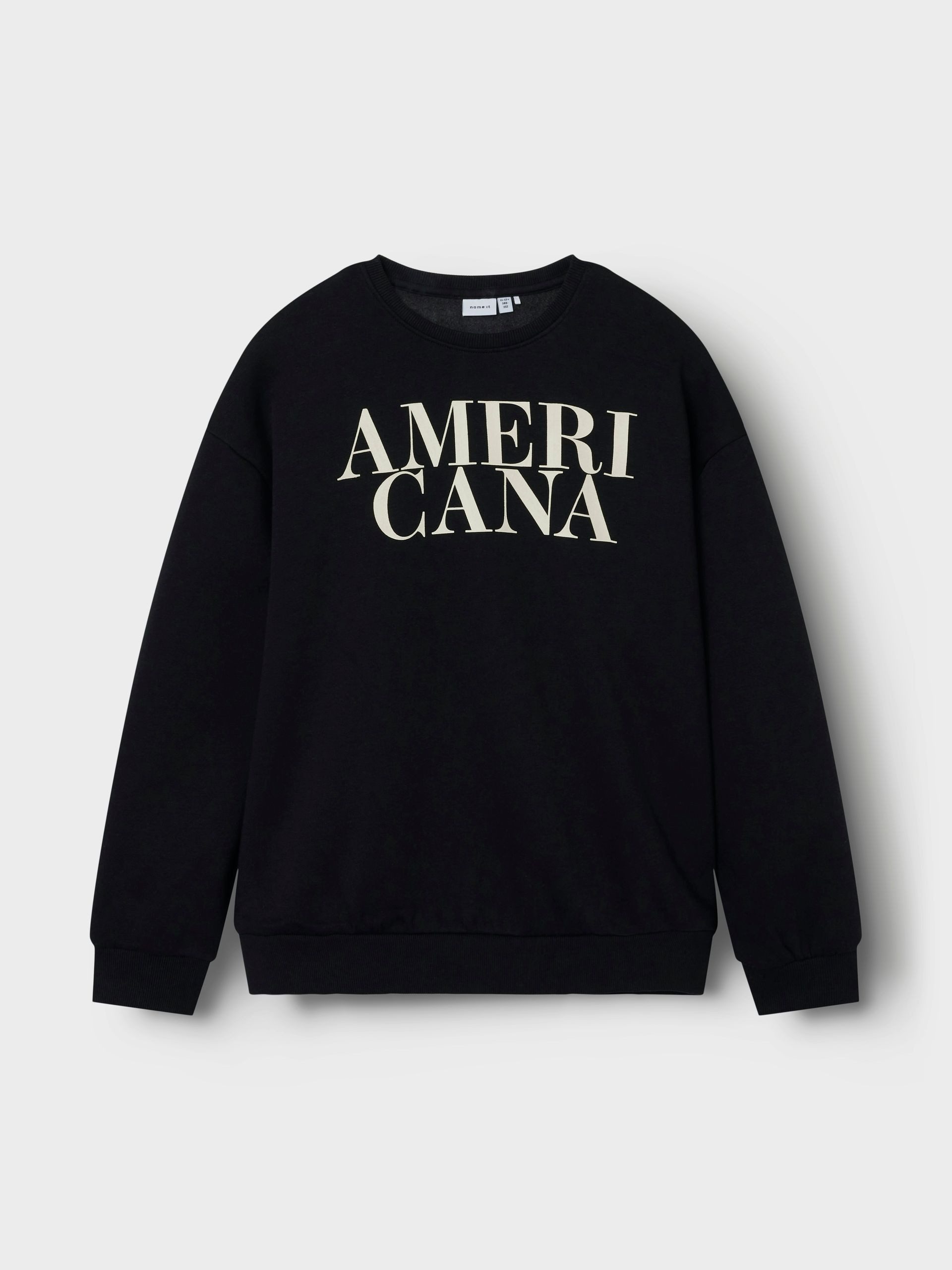 Name It Sweatshirt NKFORIANA LS RLX SWE BRU BF