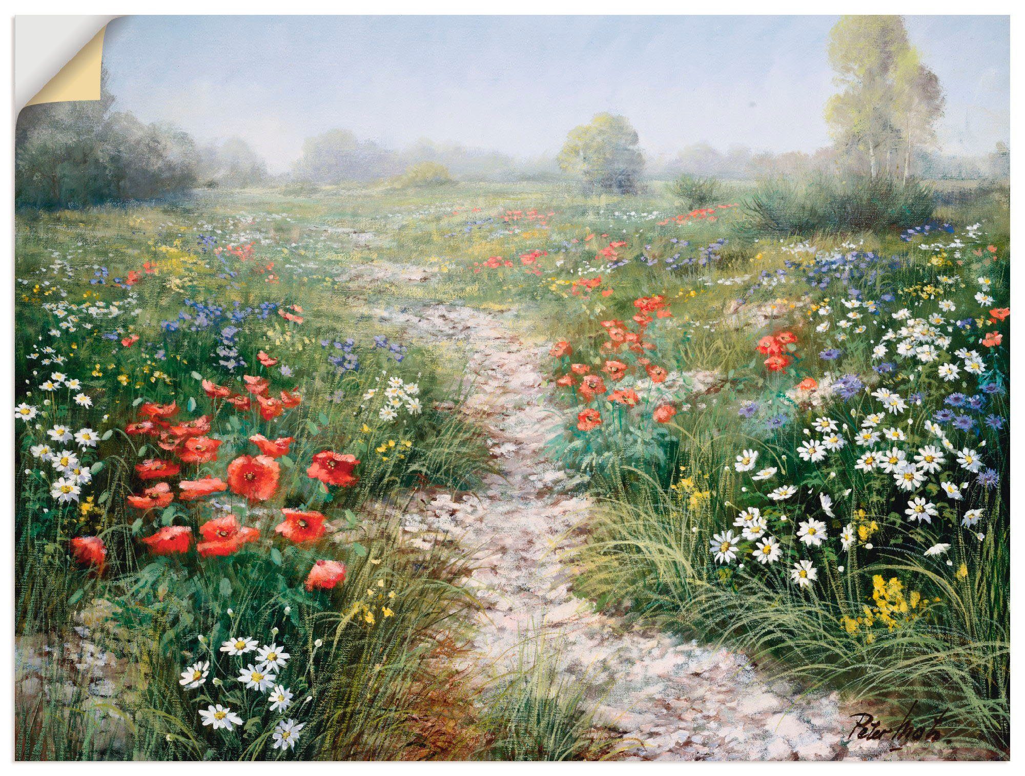 Artland Wandbild Dichte der Natur, Blumenwiese (1 St), als Leinwandbild, Wandaufkleber oder Poster in versch. Größen