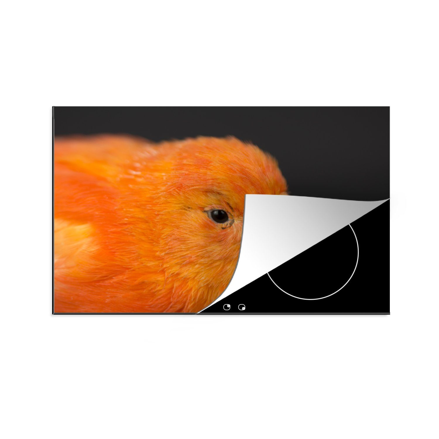MuchoWow Herdblende-/Abdeckplatte Nahaufnahme orange Schutz tlg), Hintergrund, auf Induktionskochfeld für 81x52 schwarzem die (1 Kanarienvogel küche, Vinyl, cm, Ceranfeldabdeckung