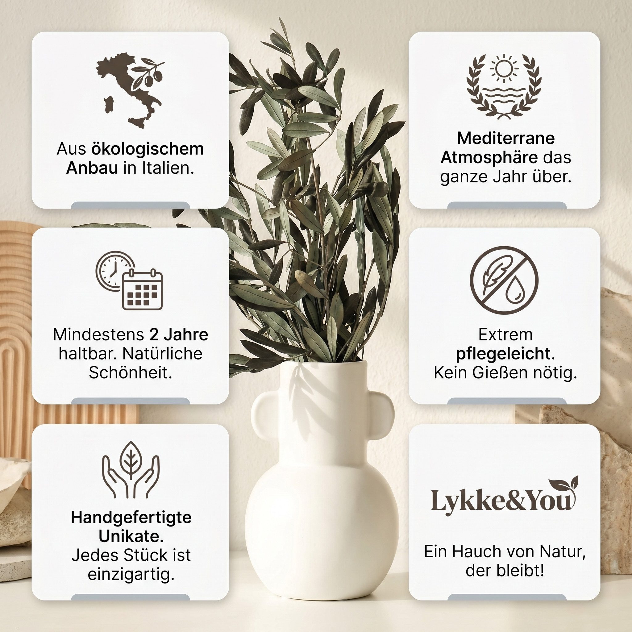 Trockenblume Langlebig aus Italien. Mindestens 2 Jahr haltbar. Olivenzweige, LYKKE & You