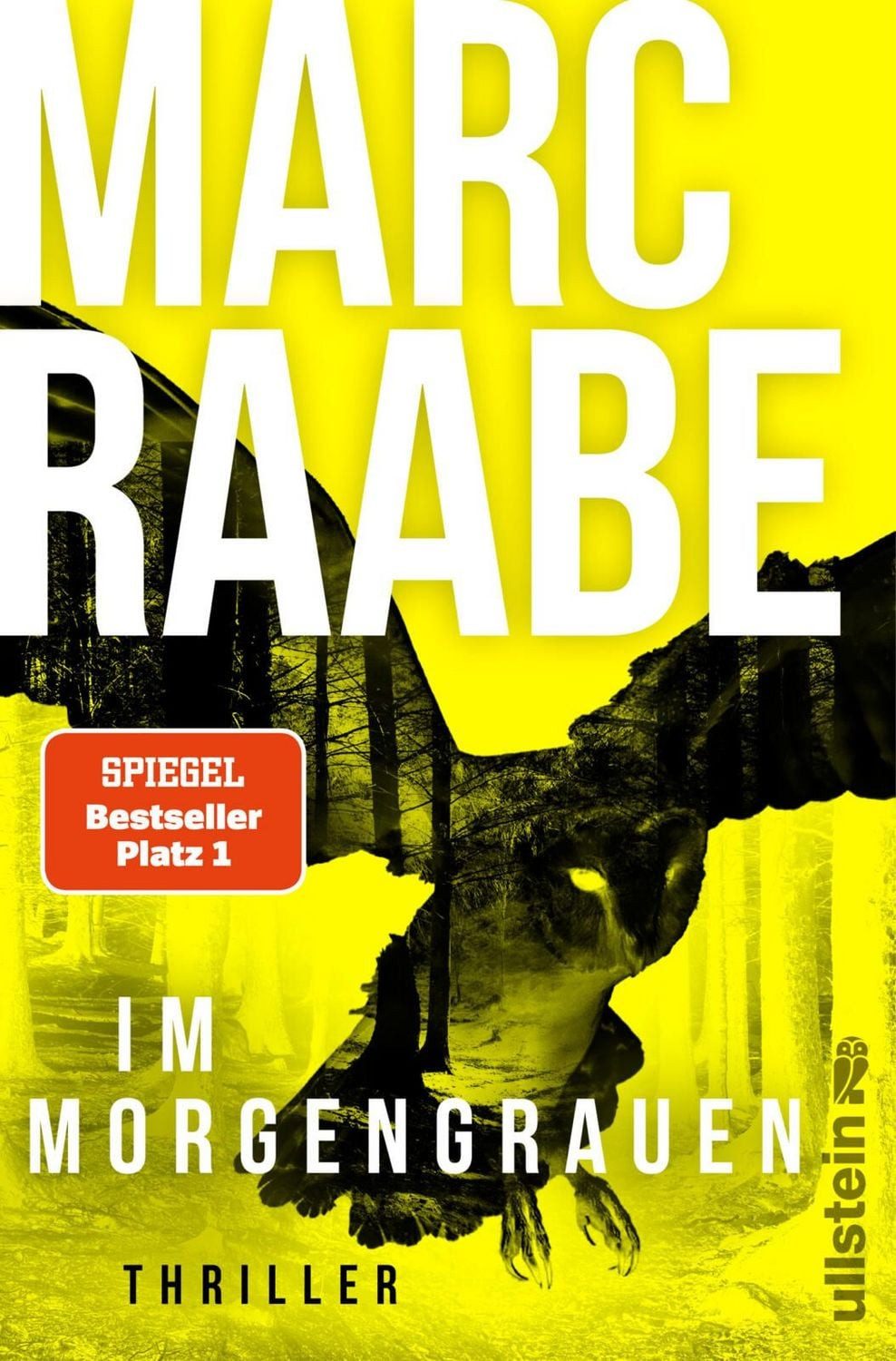 Im Morgengrauen / Marc Raabe